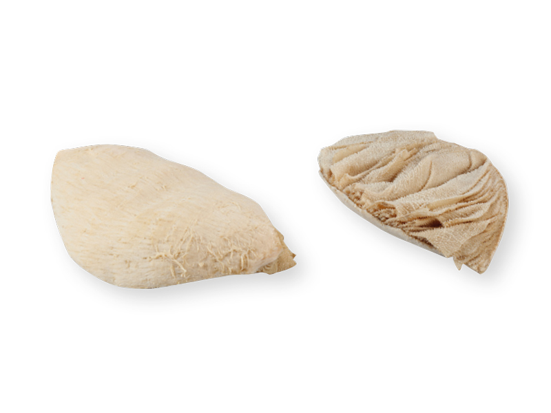 Blättermagen gebrüht